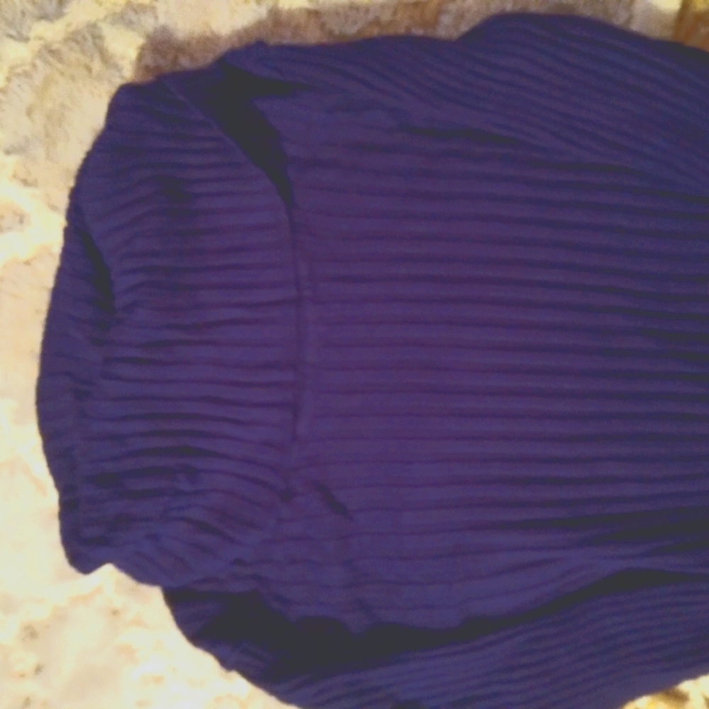 Ribbed turtle neck sweater